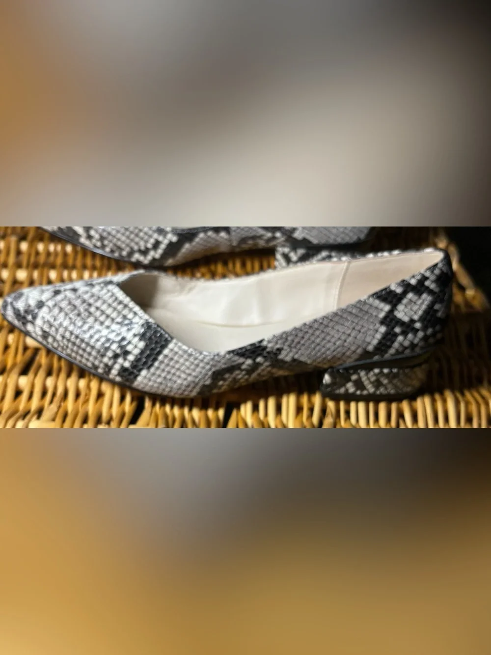 Pointed Toe Snake-Print Flats - White/Black from Katherine Kelly, size 7.5